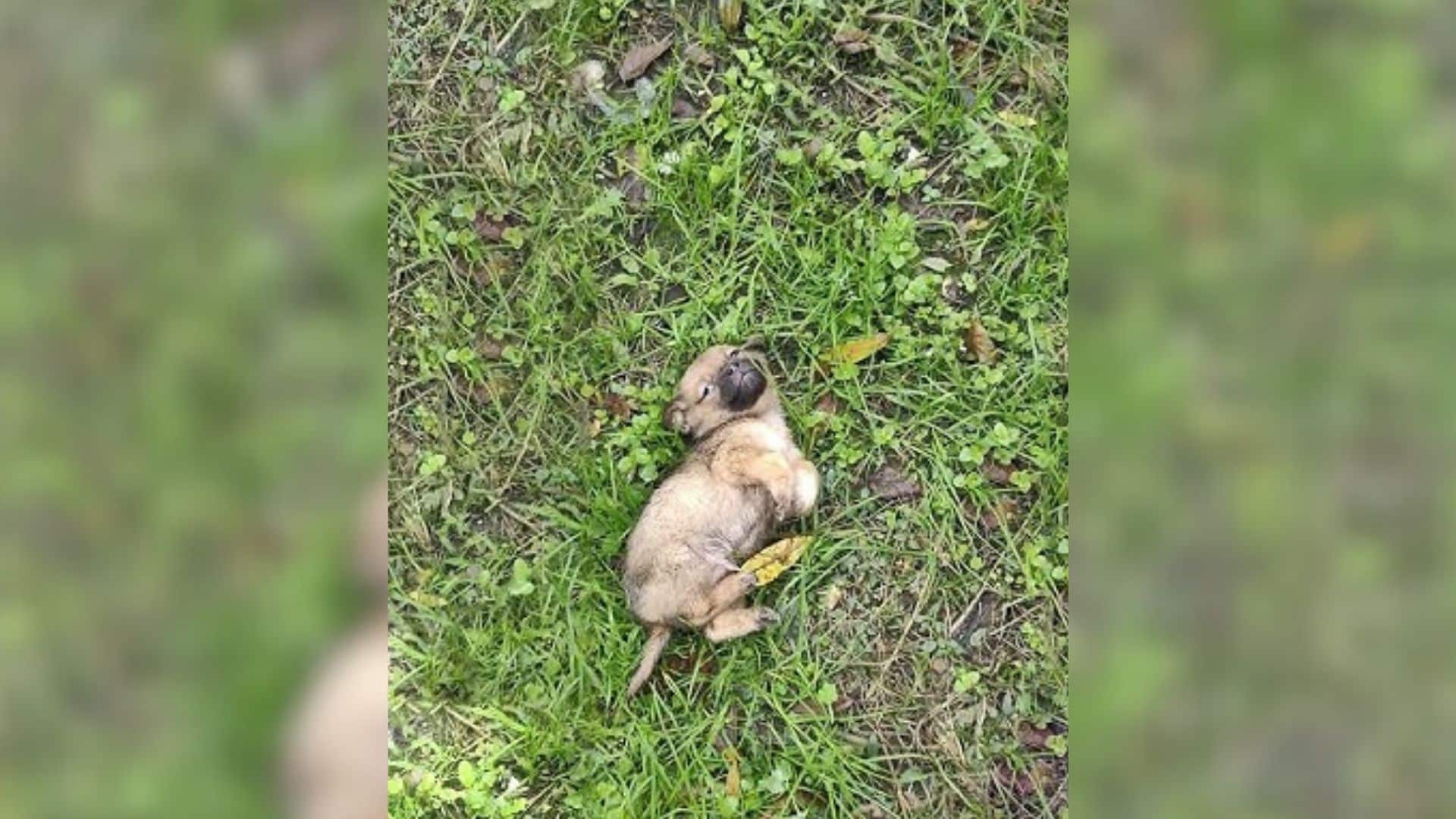 It’s incomprehensible how someone could ...