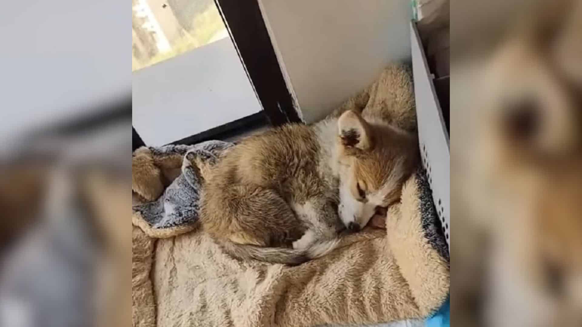 Despite hearing people pass by, none sto...