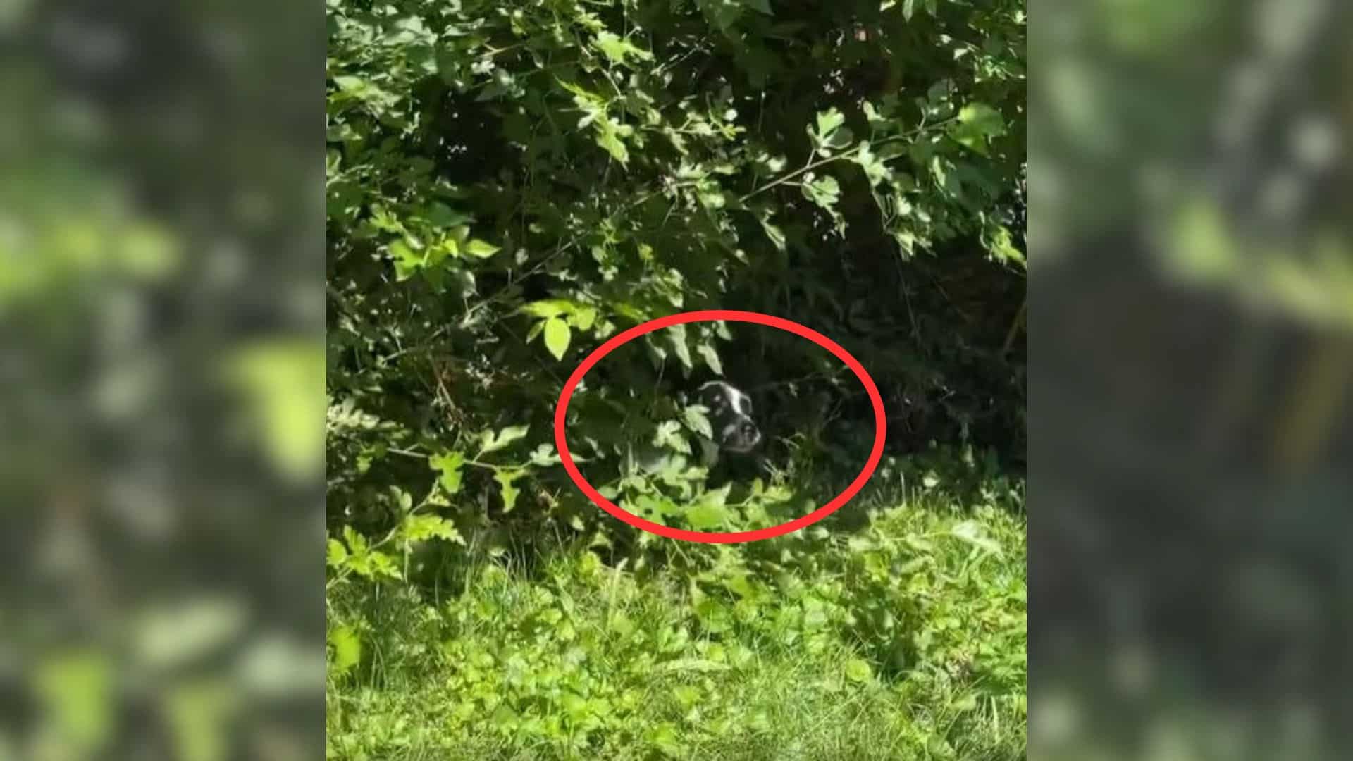 Oakley's journey began when she was disc...