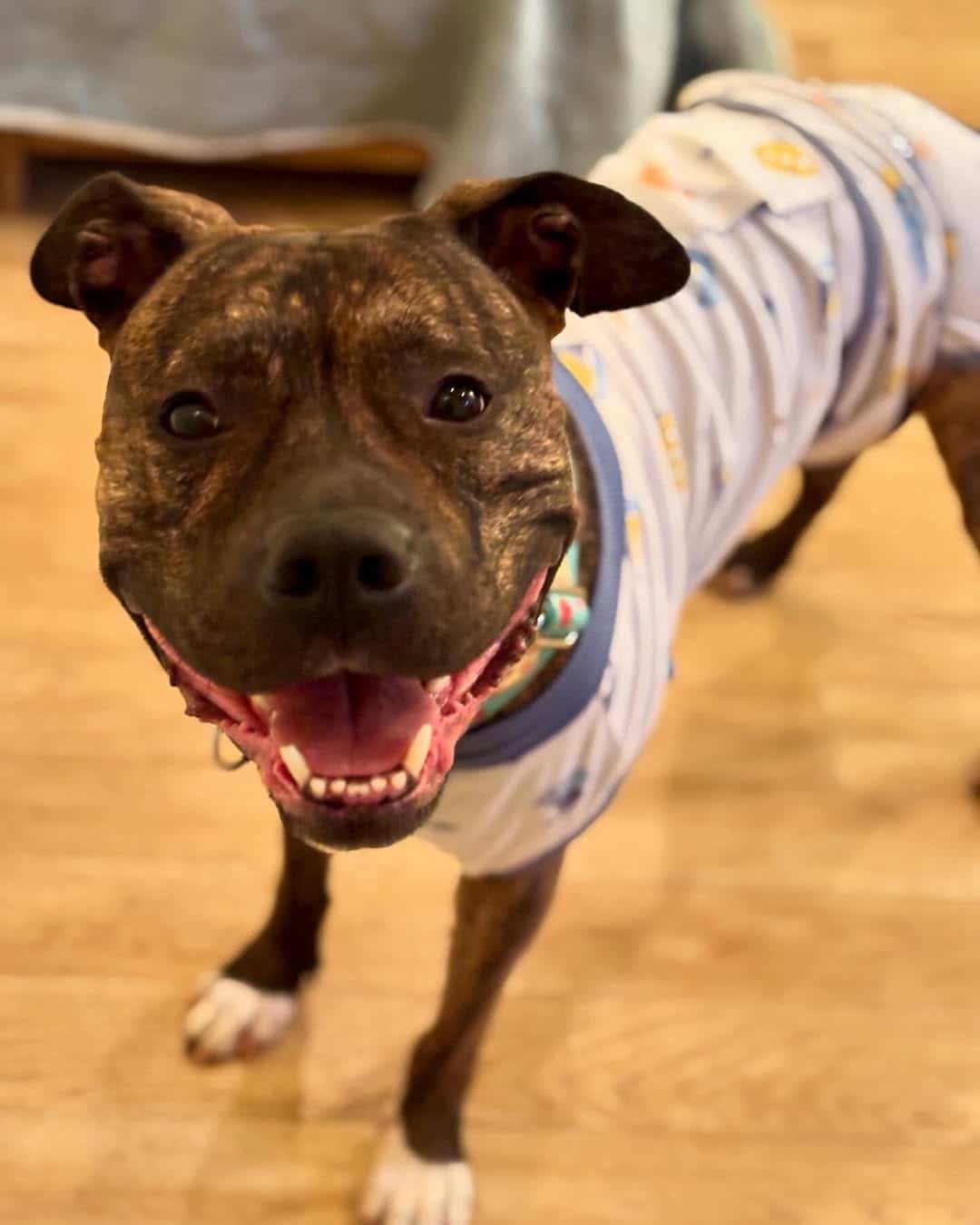 Extra image from article