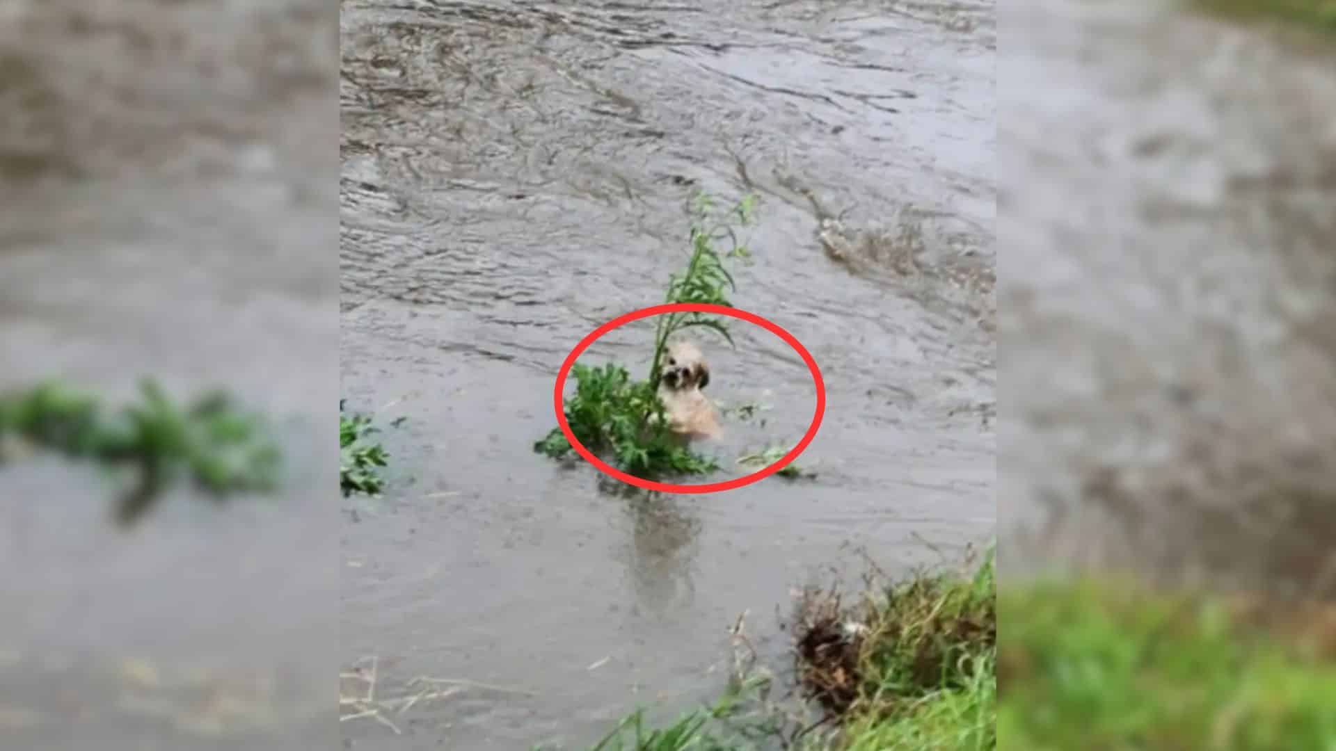 Poor Eddy was doing his best to cling to...