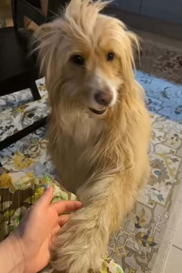 Extra image from article