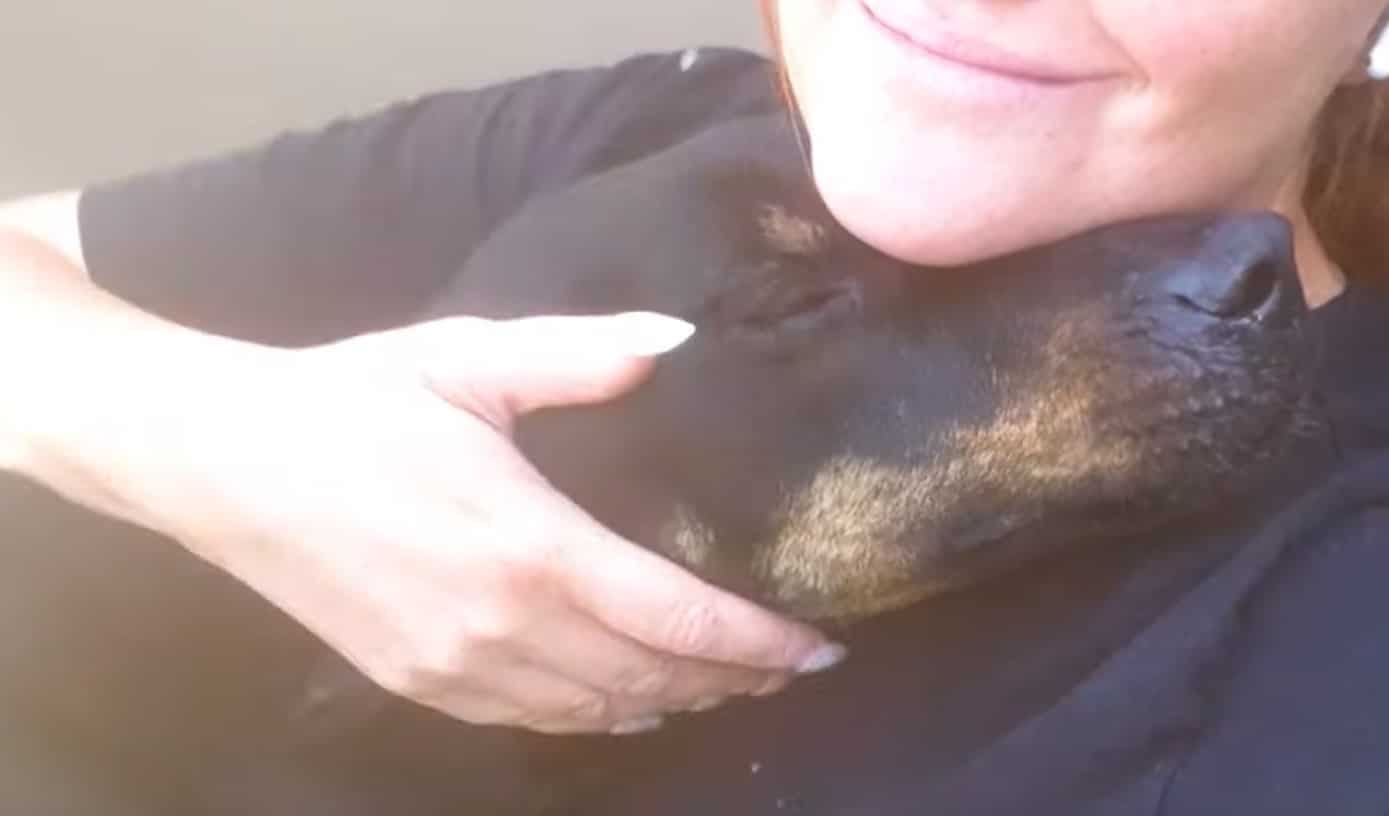 Extra image from article