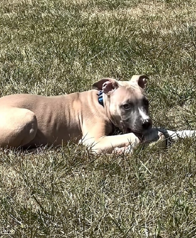 Extra image from article