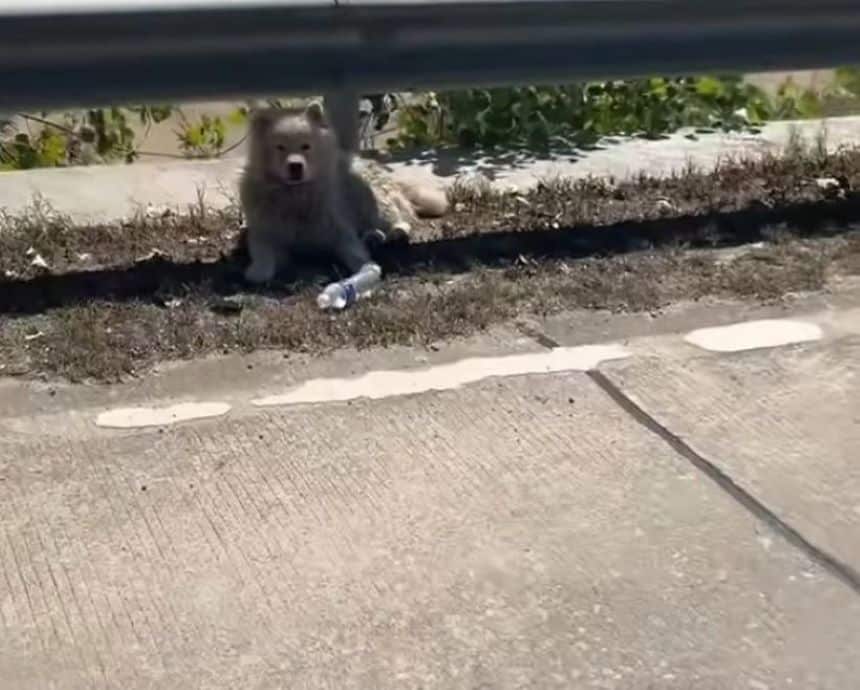 Extra image from article