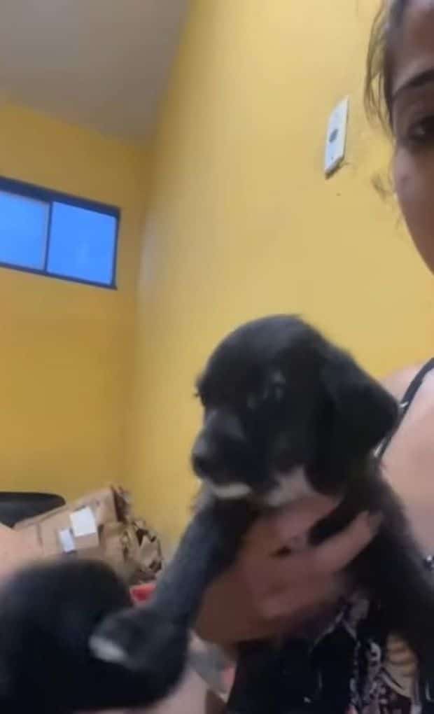 Extra image from article