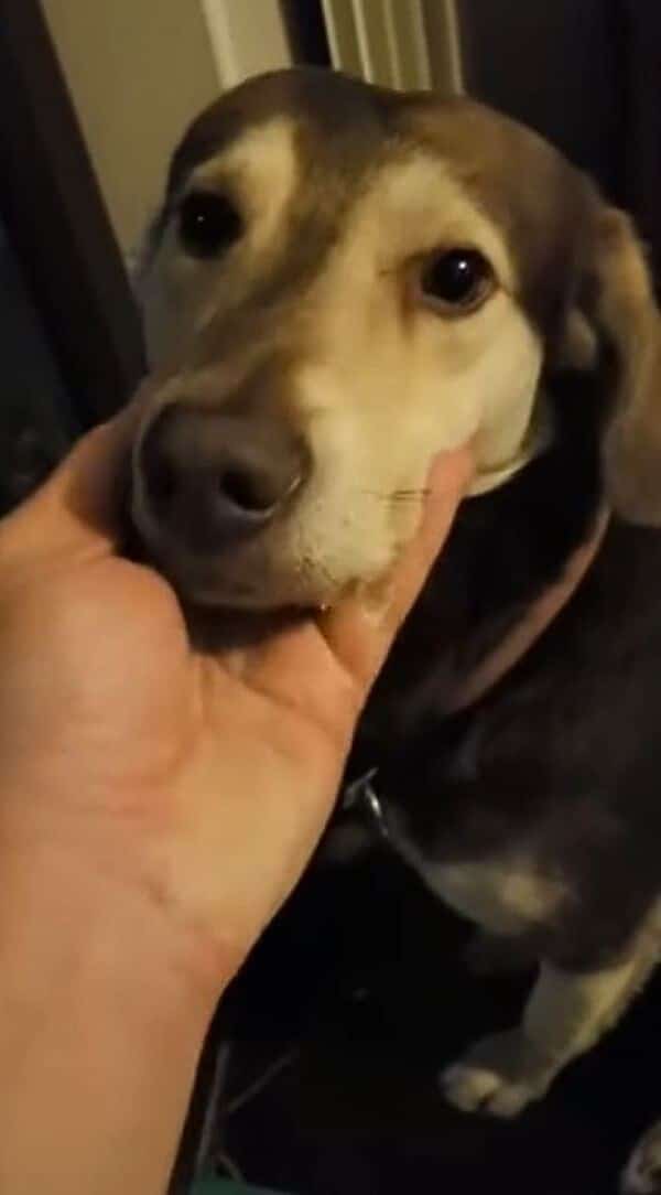 Extra image from article