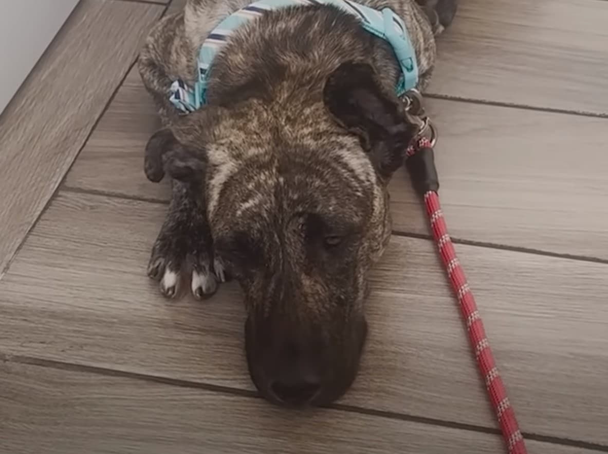 Extra image from article