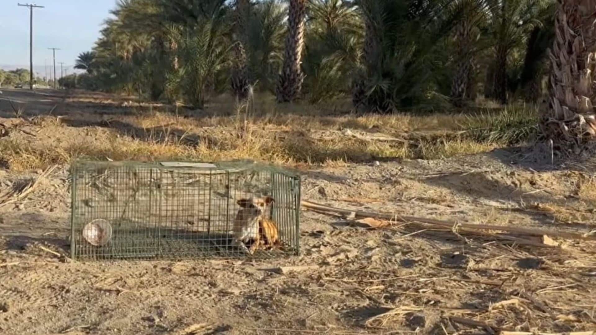 Fortunately, some kind-hearted individua...