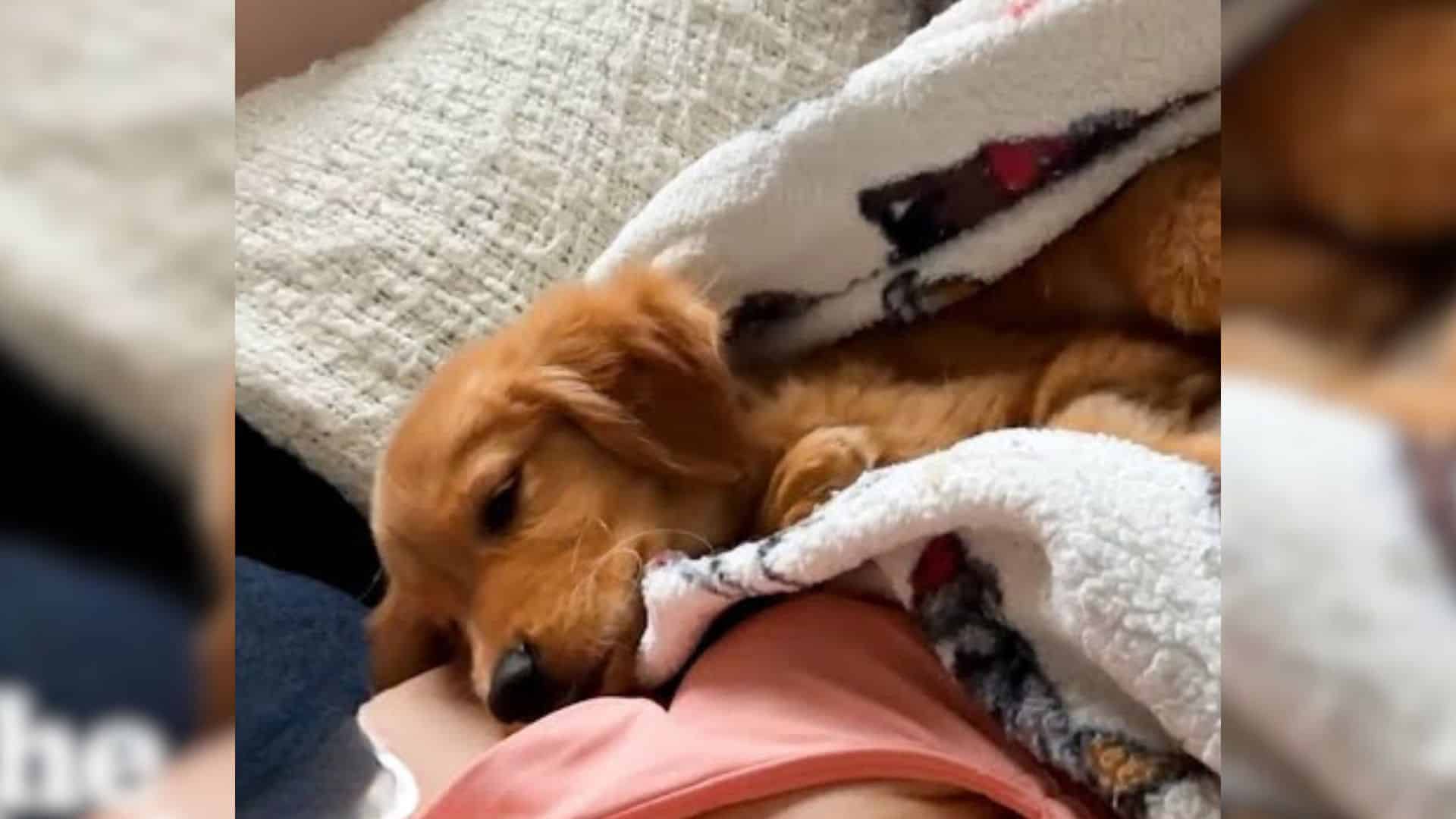 Fortunately, Grace's fortune changed whe...