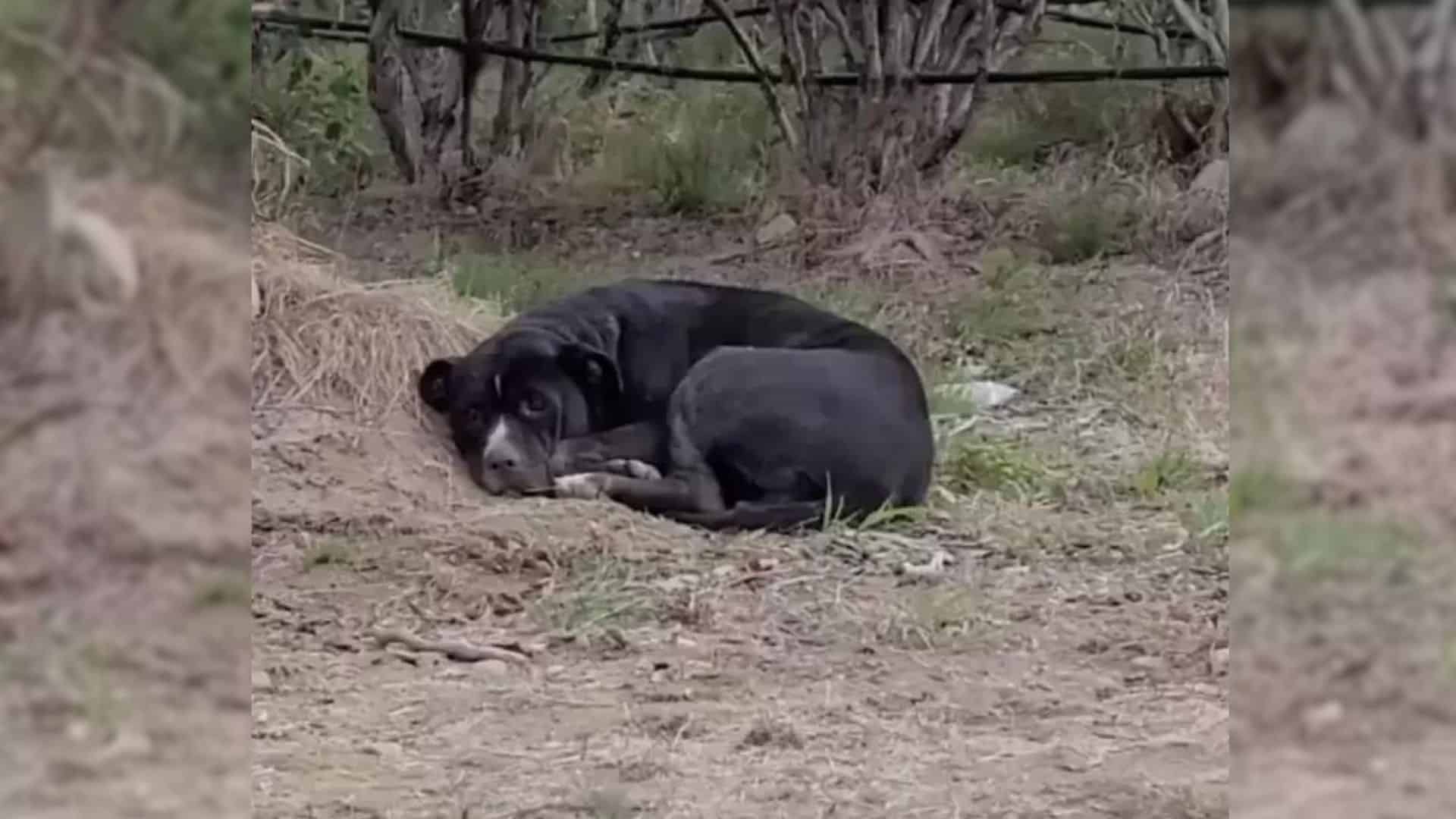 Shena felt an instinctive pull that what...