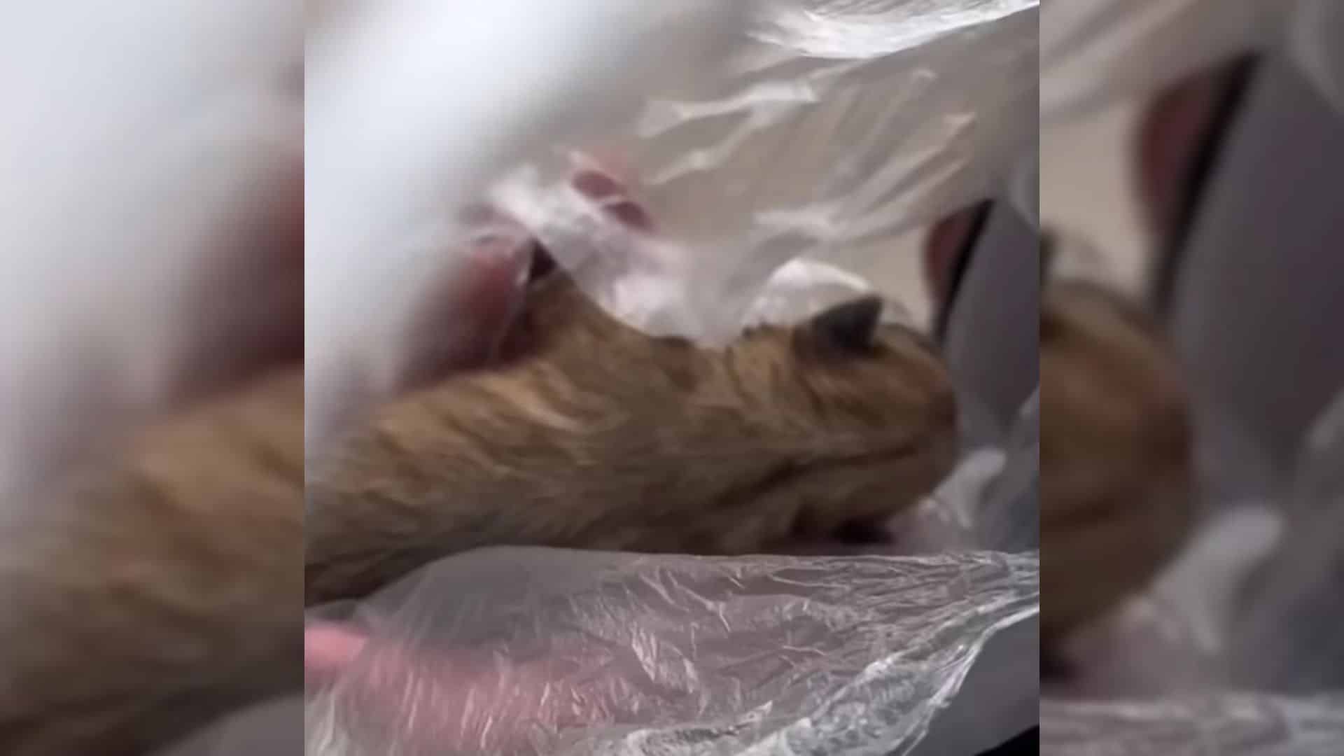 Recently, a woman experienced a heartwar...