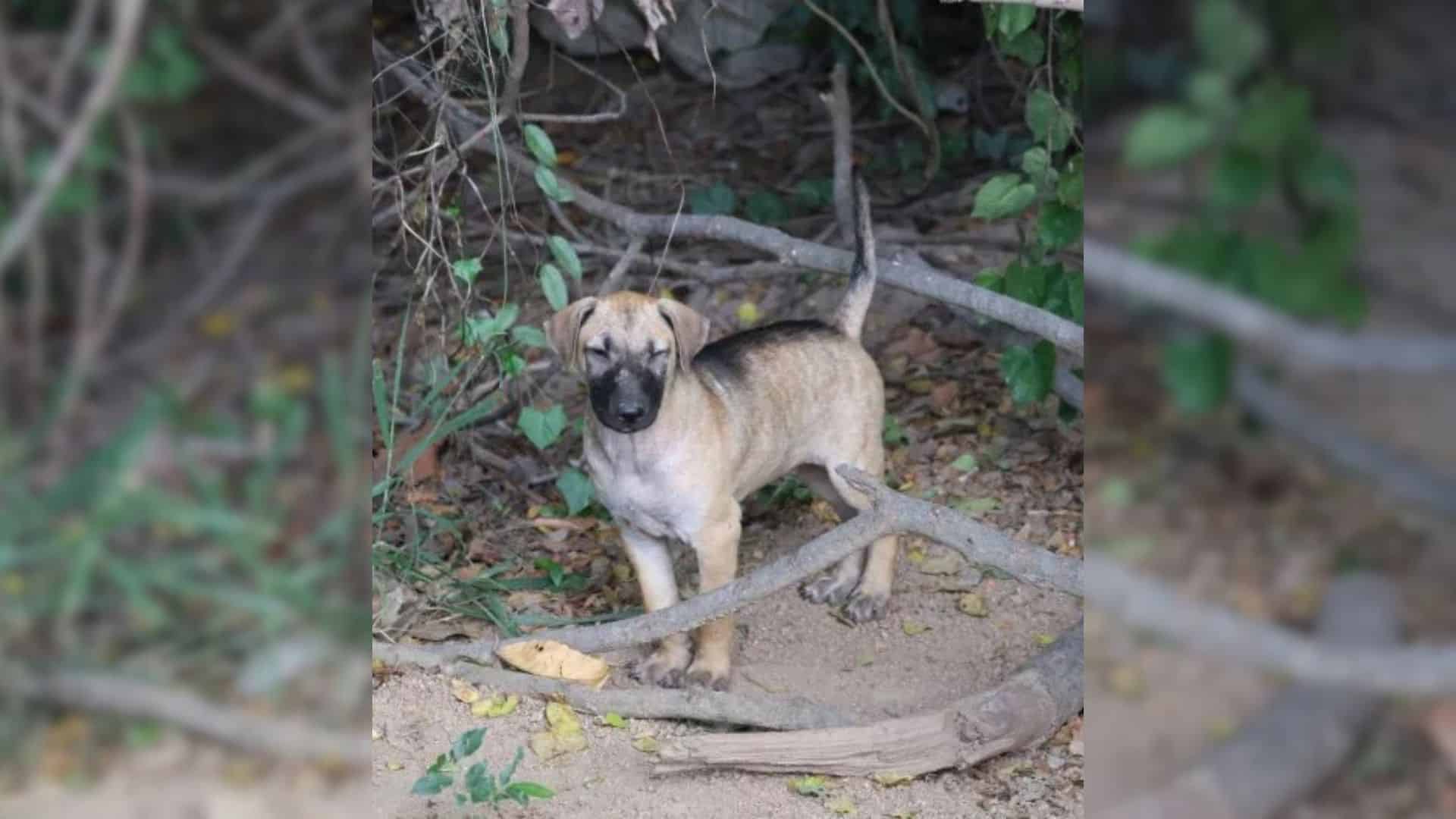 Without hesitation, Matthews decided to ...