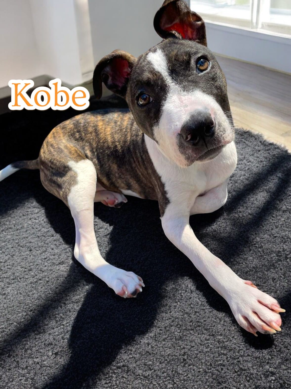 Extra image from article