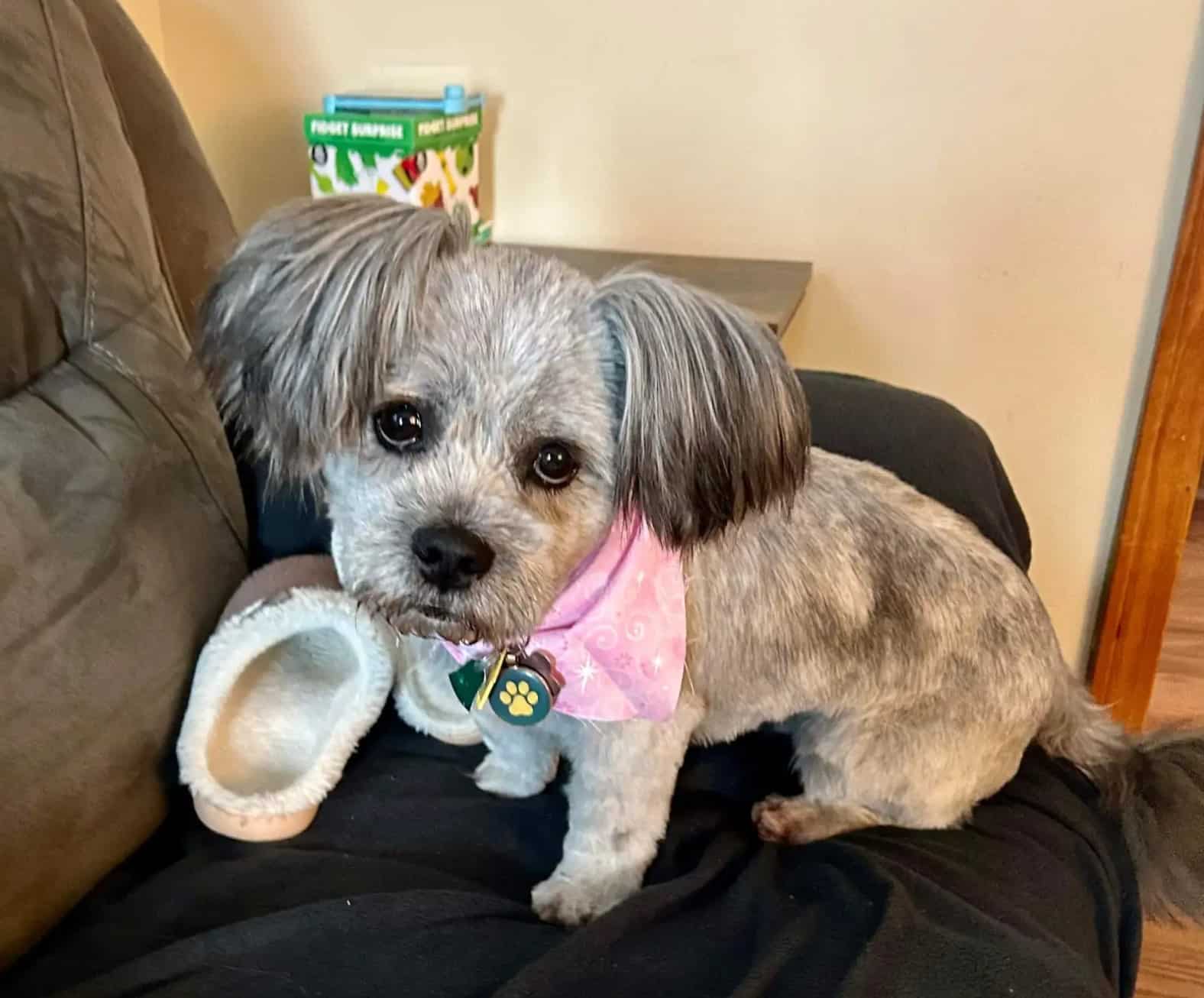 Extra image from article