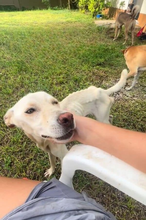 Extra image from article