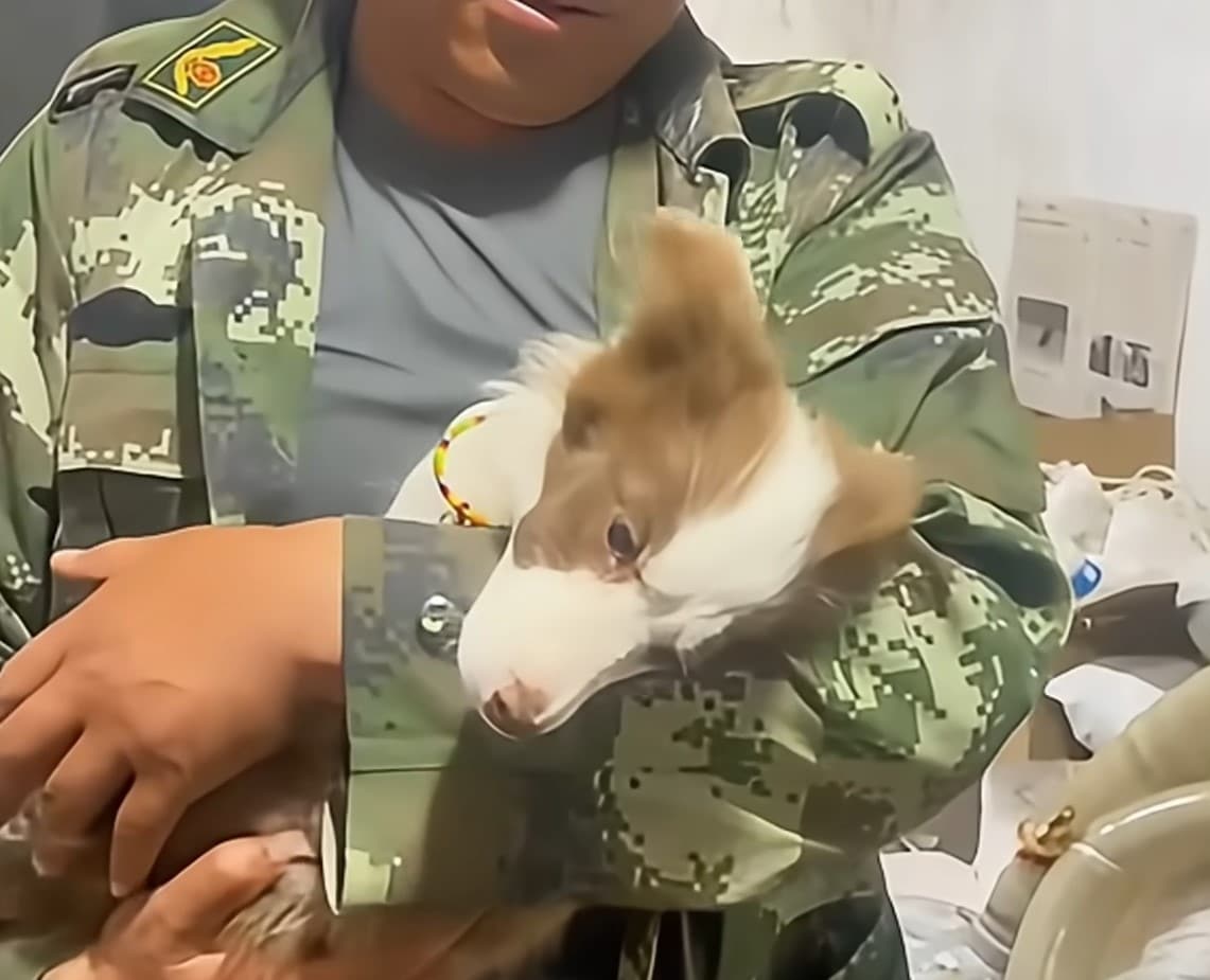 Extra image from article