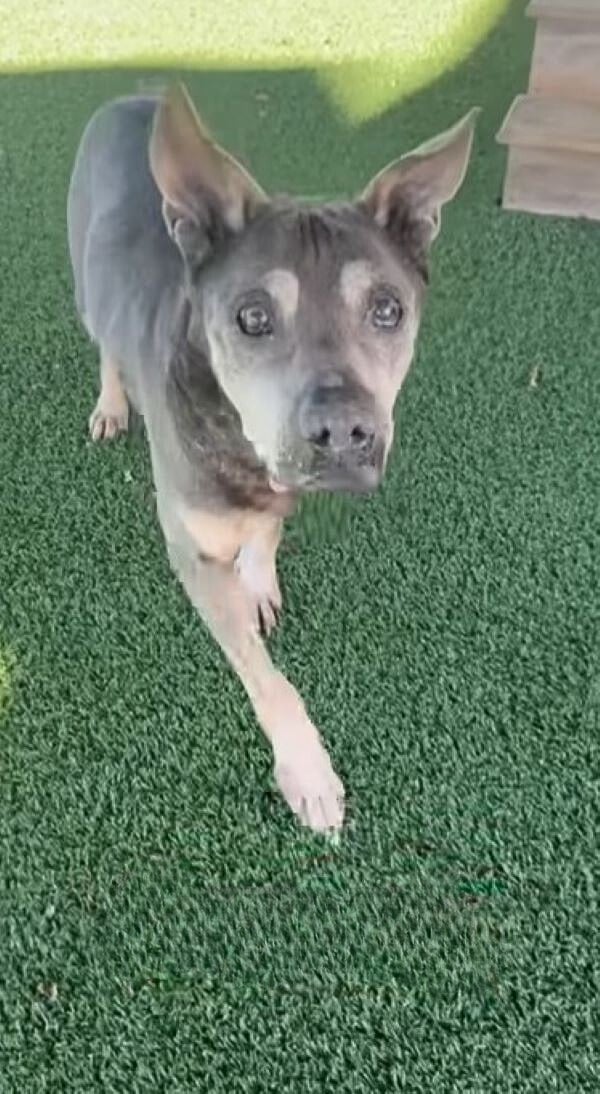 Extra image from article