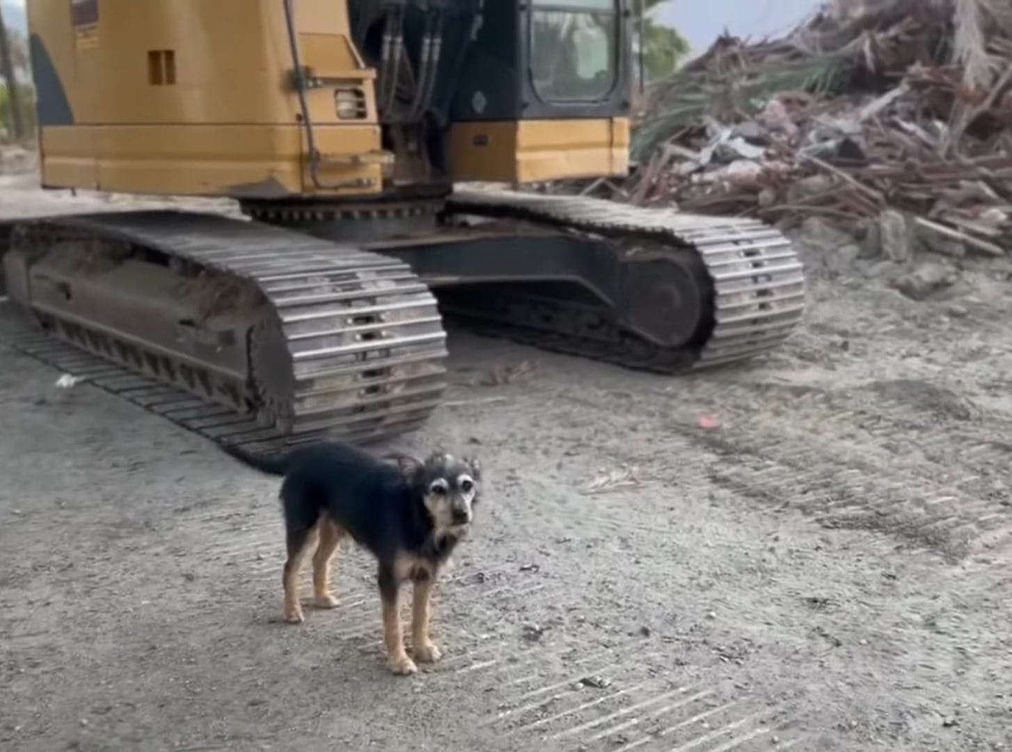 Soon, Roku will move to another foster h...