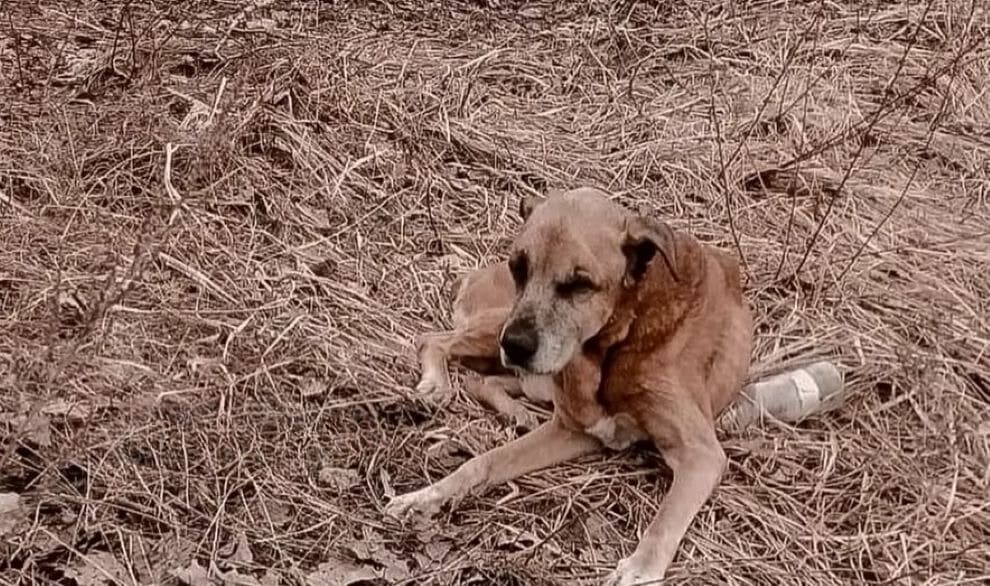 In these last days, Bucks found solace w...