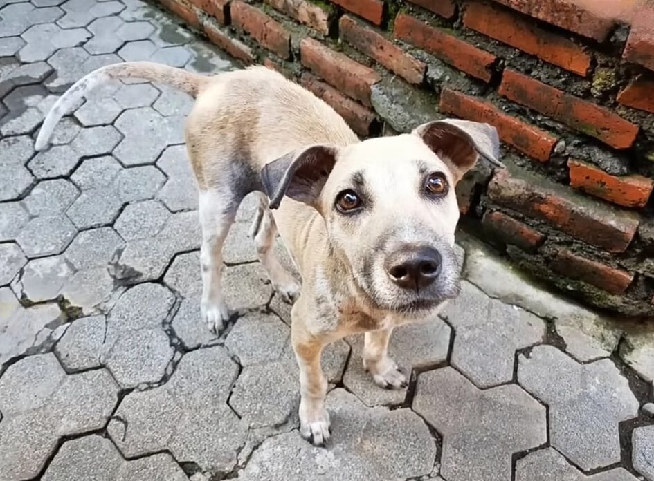 Extra image from article