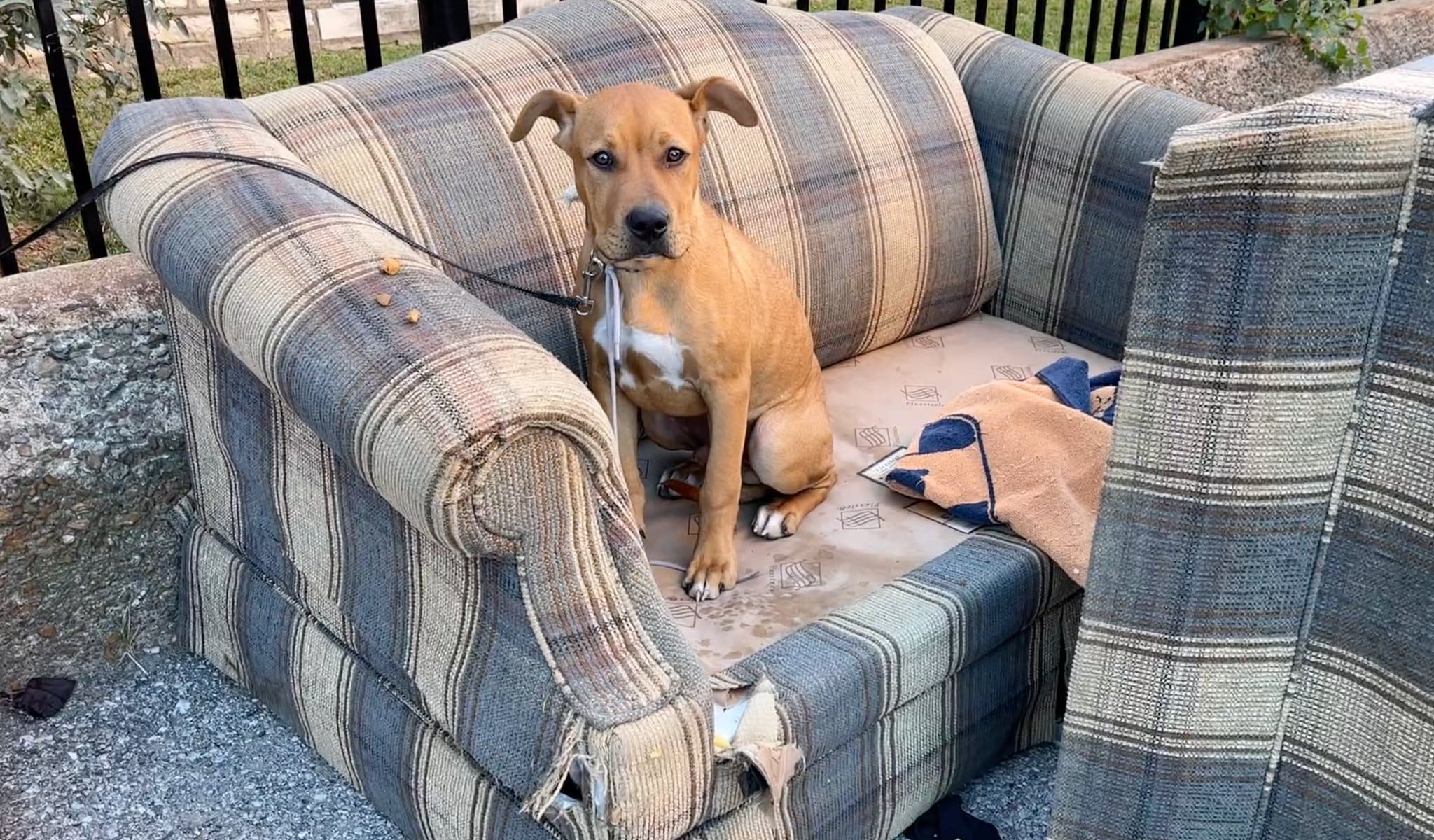 There was one key condition for his futu...