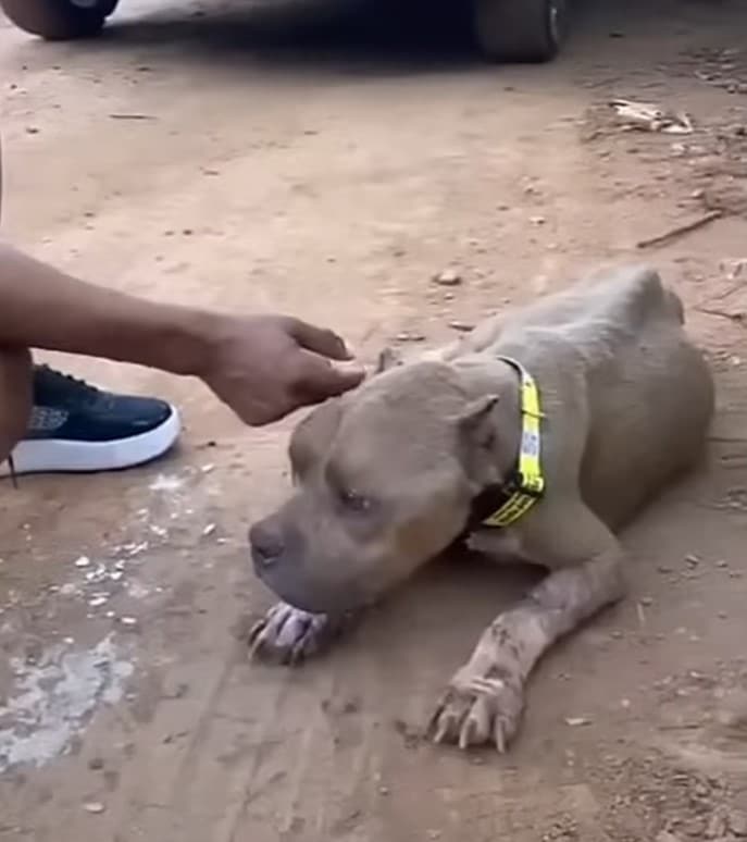 Extra image from article