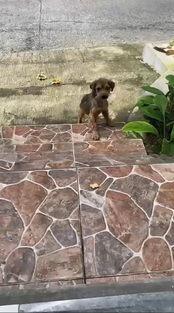 Back at Hughes’ home, Pete continued rec...