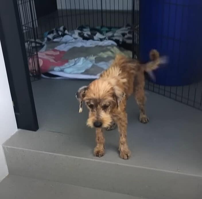 Extra image from article