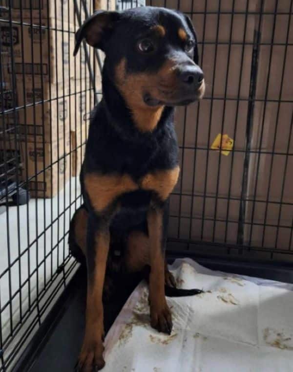 Extra image from article