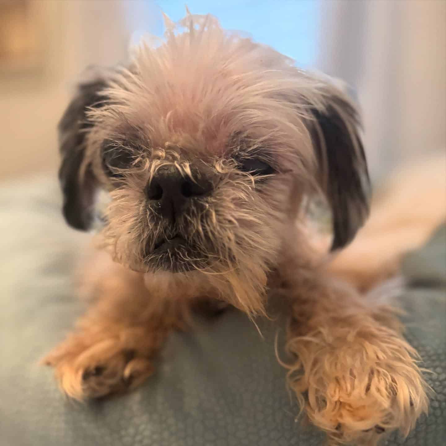 Extra image from article