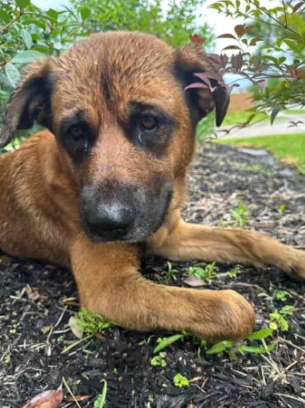 Extra image from article