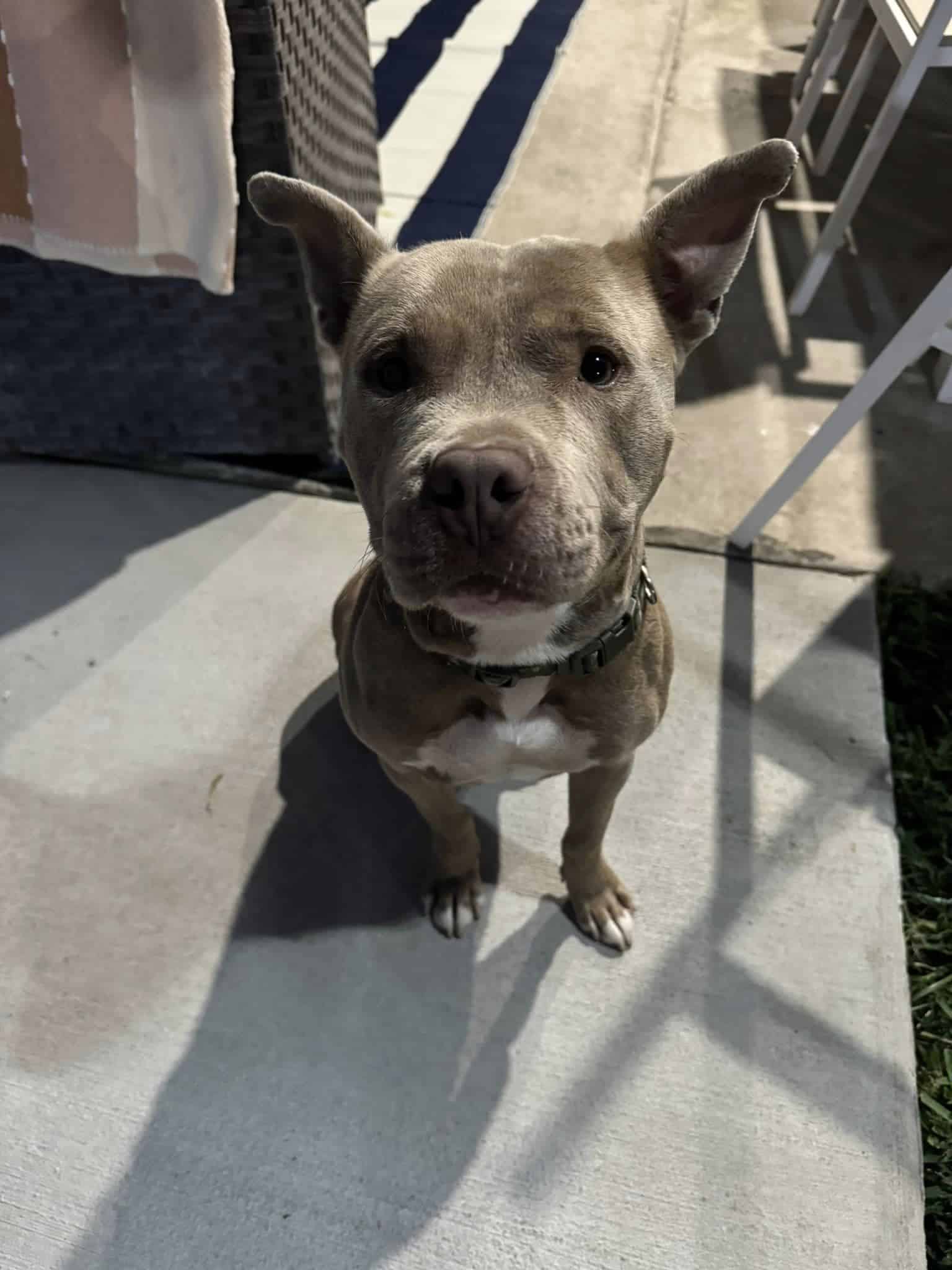 Extra image from article