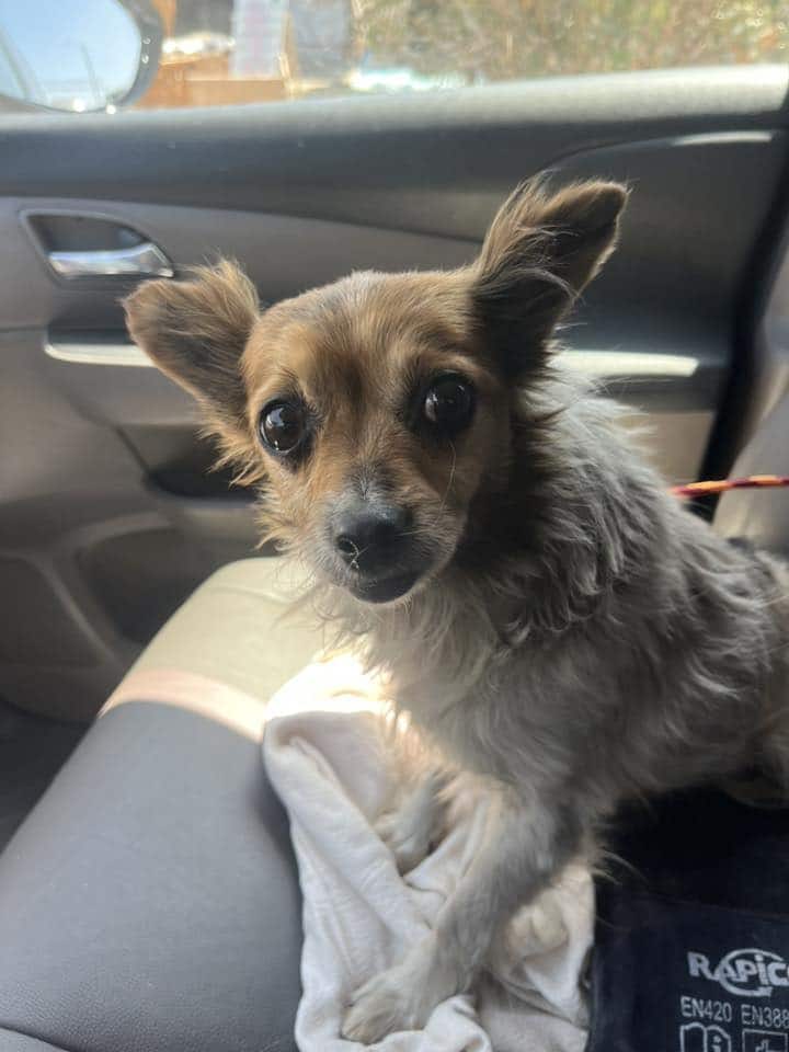 Extra image from article