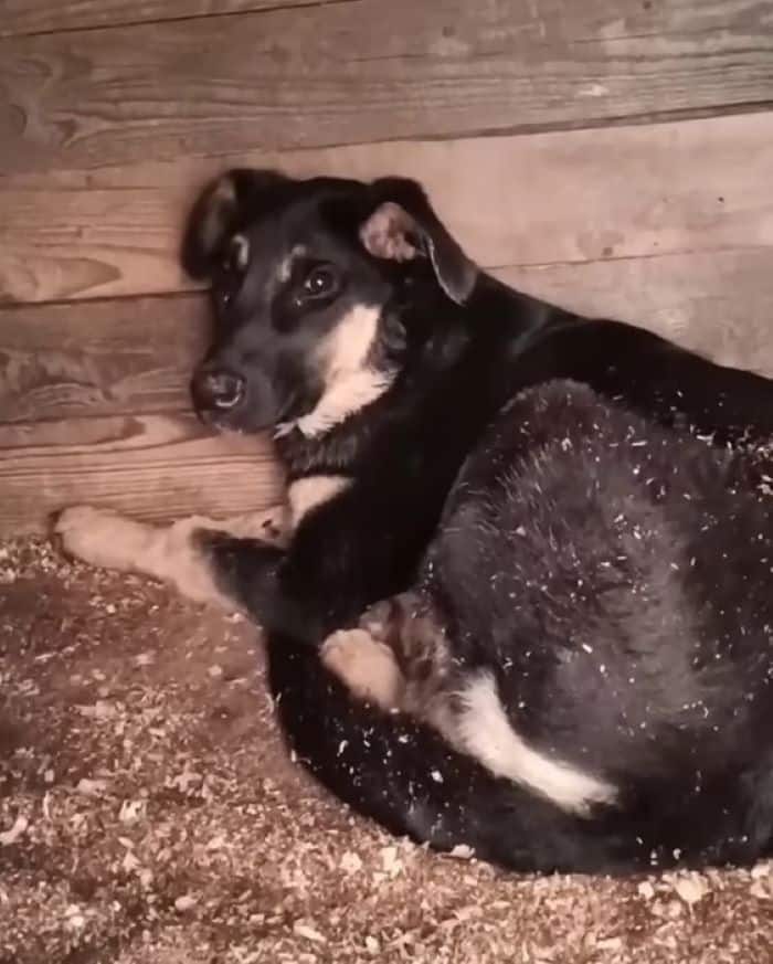 Extra image from article