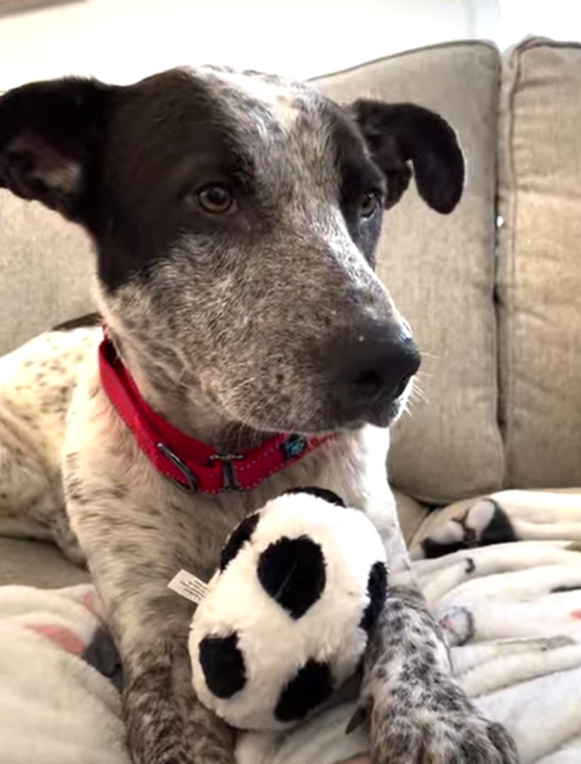 Extra image from article