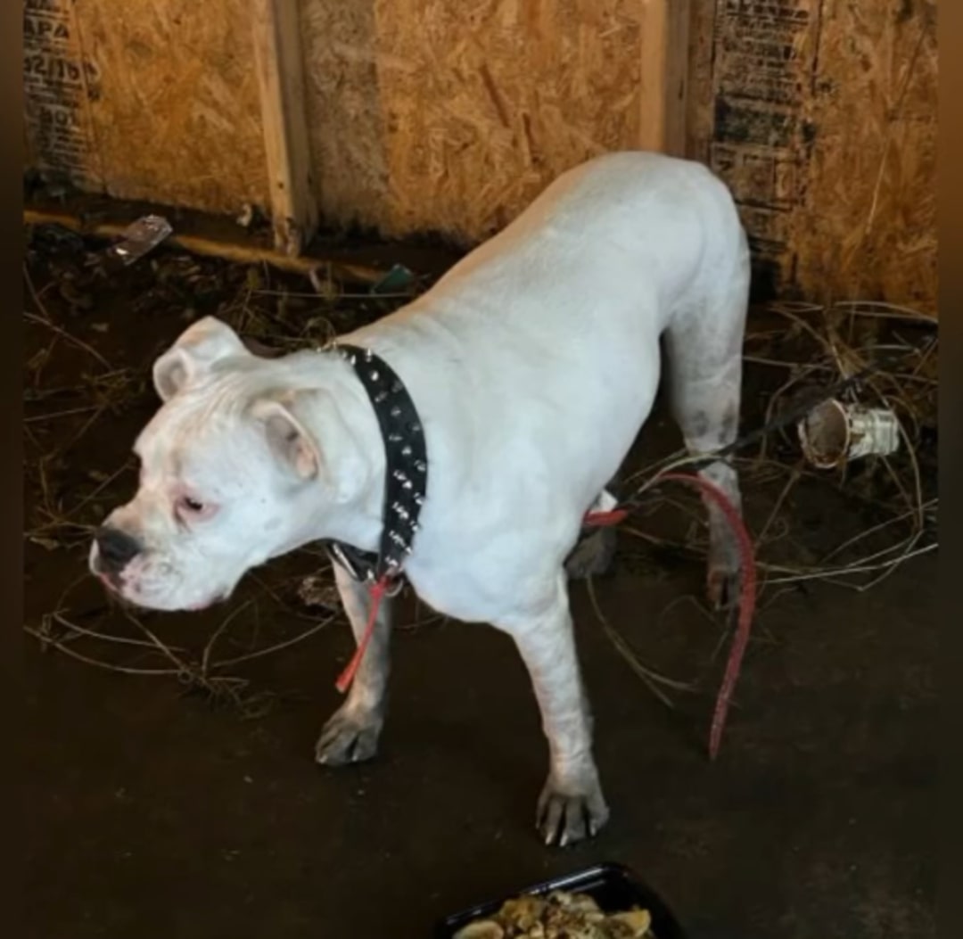 “He was tied up there for several days i...