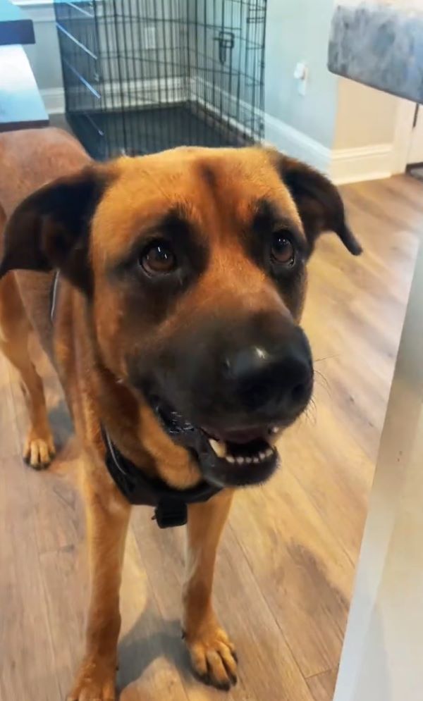 Extra image from article