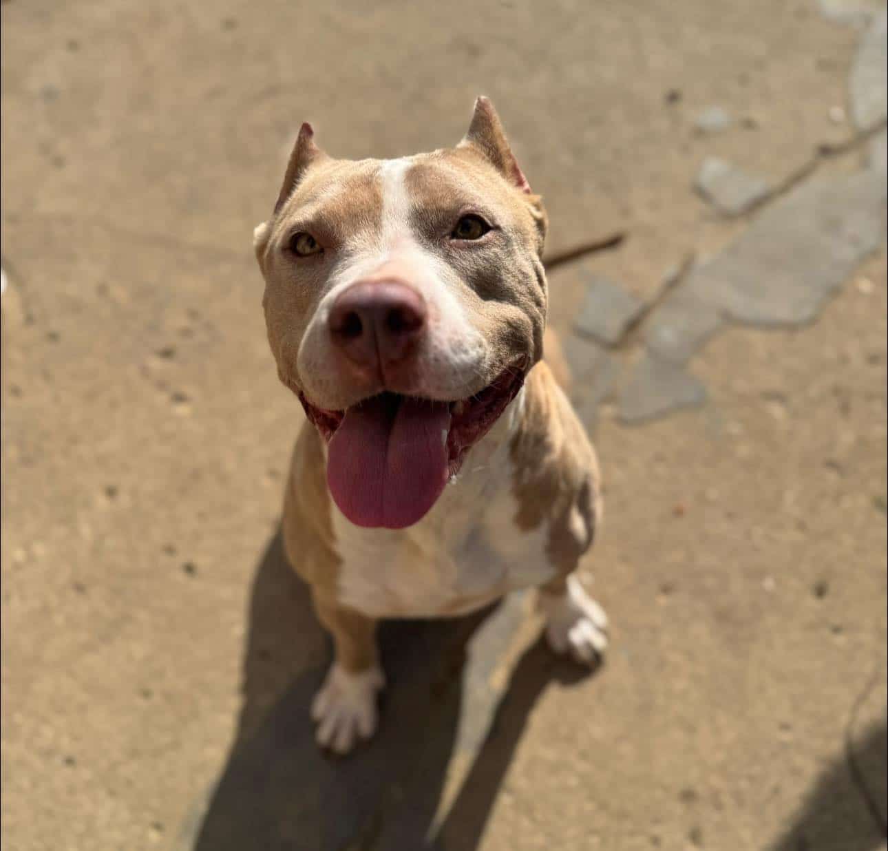 Extra image from article