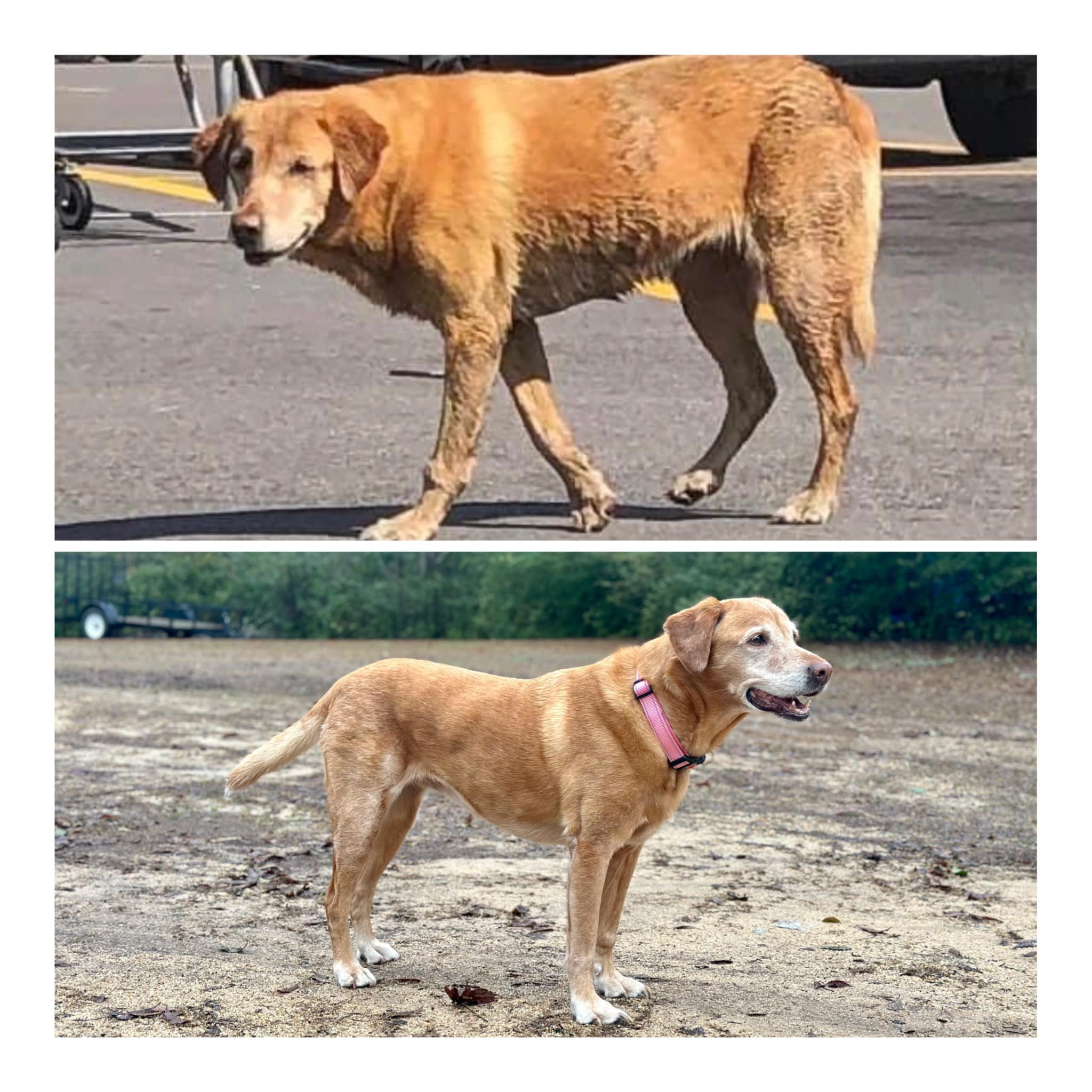 Extra image from article