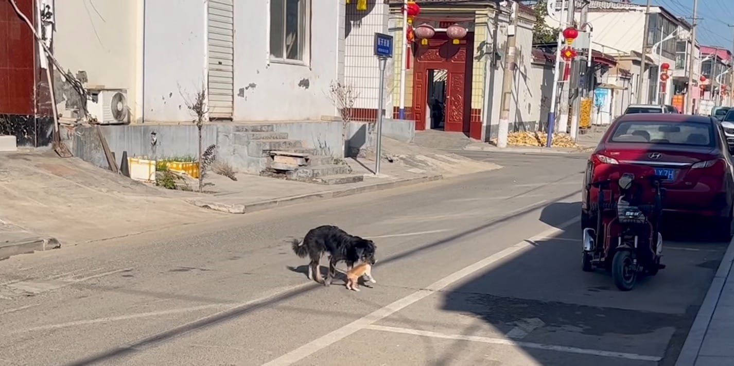 While the future of this endearing pair ...