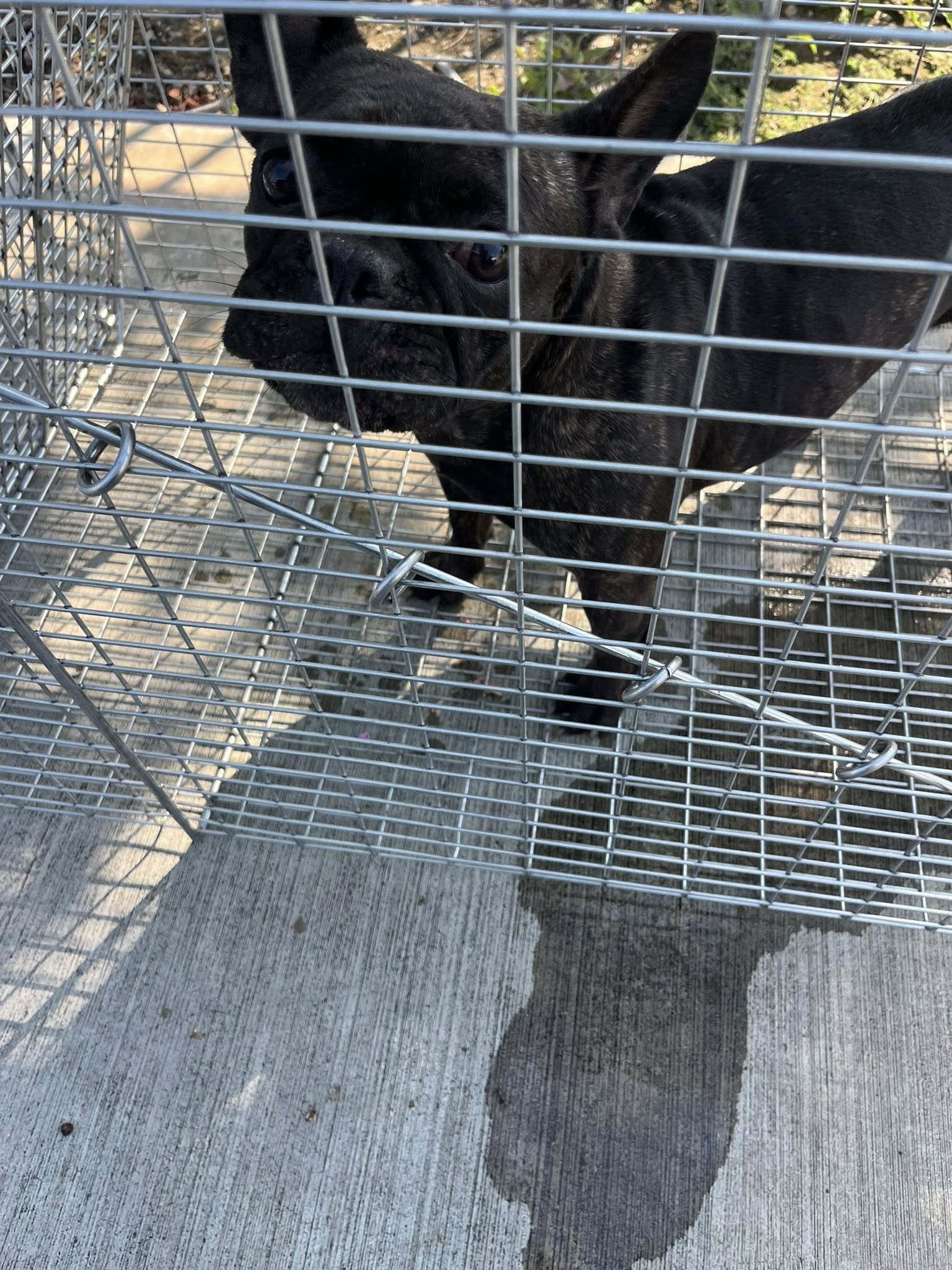 Extra image from article