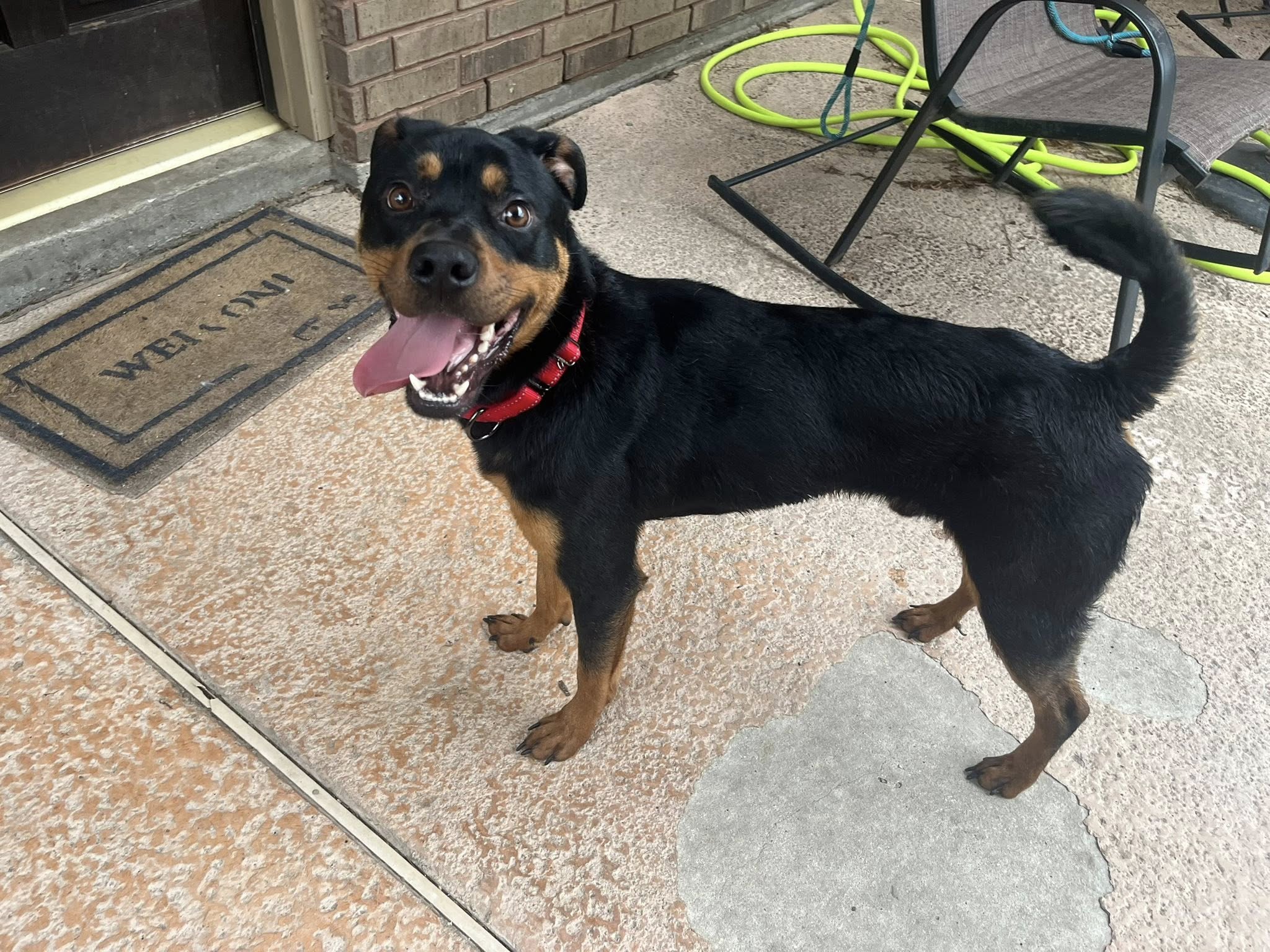 Extra image from article