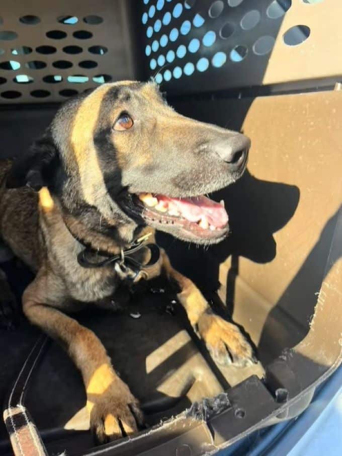 Extra image from article