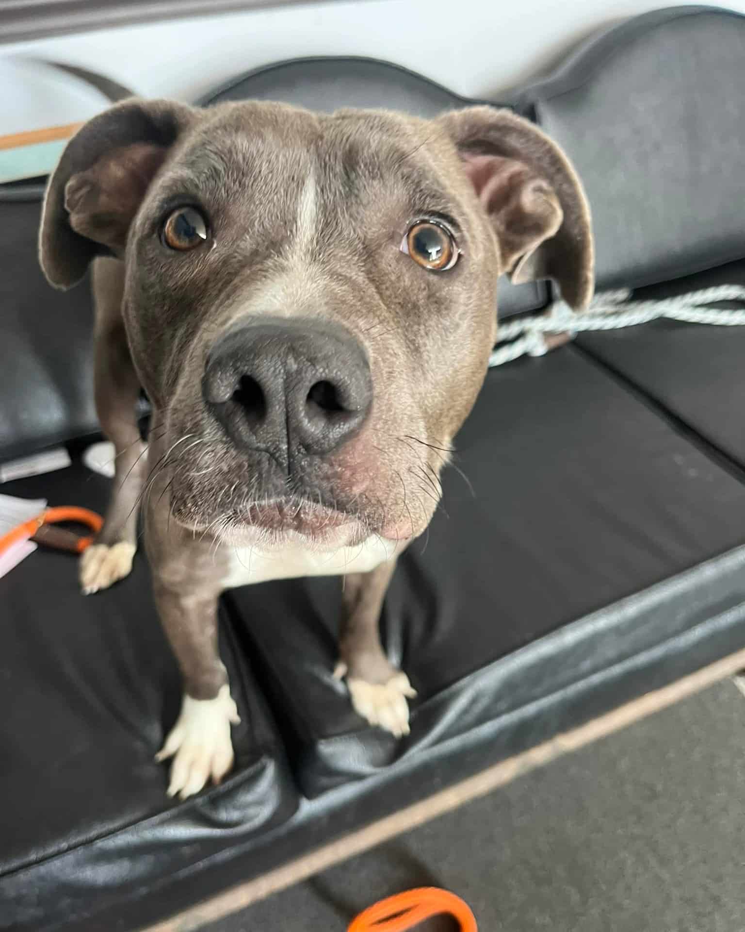 Extra image from article