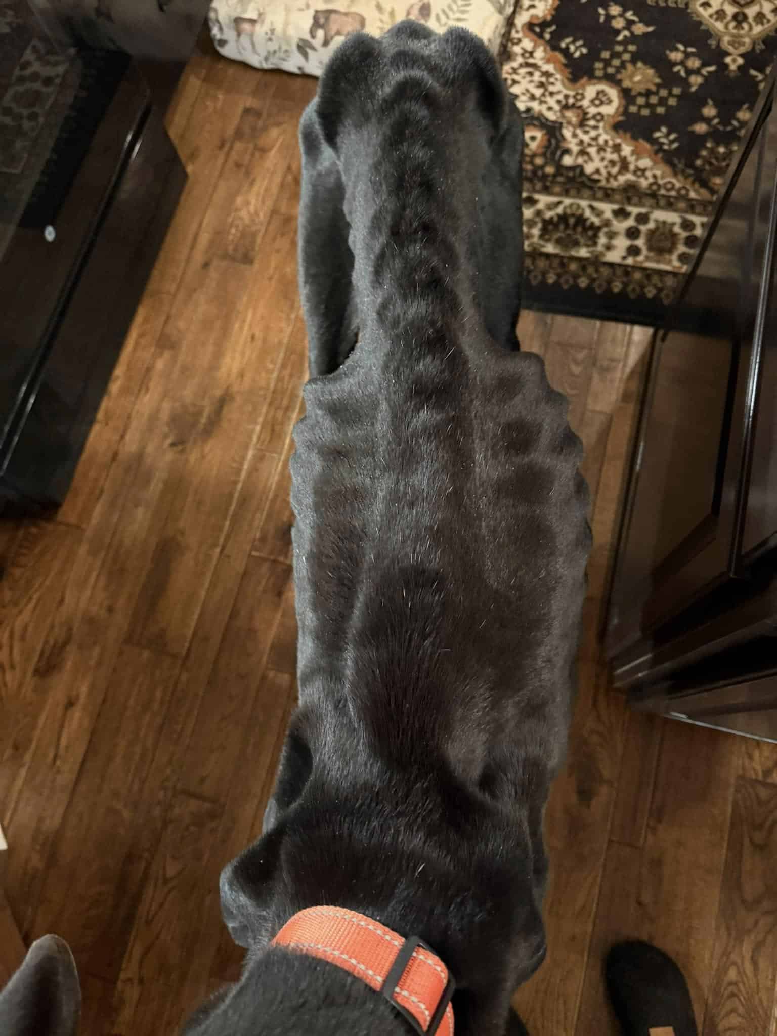 What’s most important now is that Lloyd ...