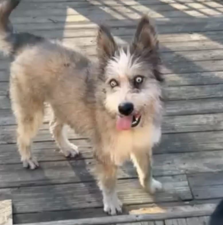 Extra image from article