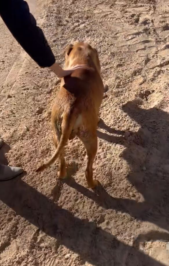 Interestingly, Emily’s friend was foster...