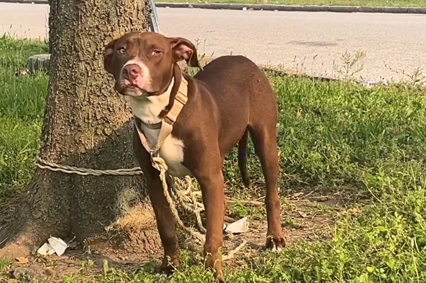 Extra image from article