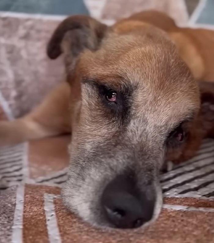 Extra image from article